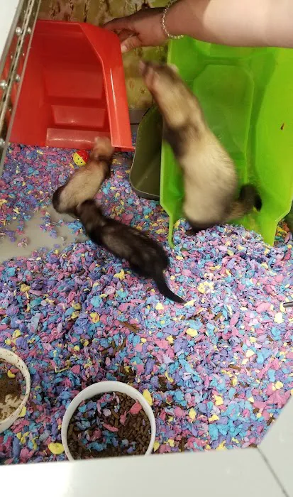 Petco Picture 4