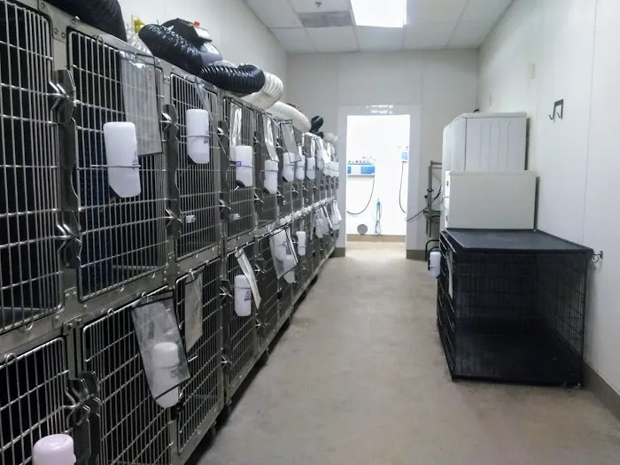 Petco Picture 10