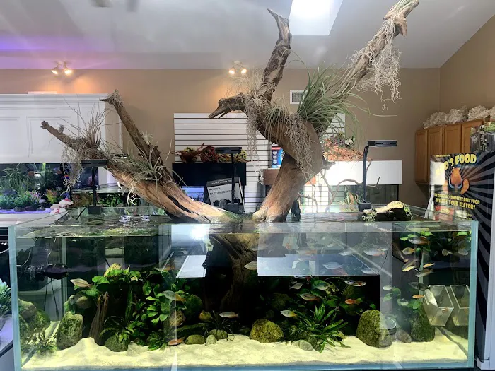 OSA Aquarium Superstore & Services -Coventry RI Picture 3