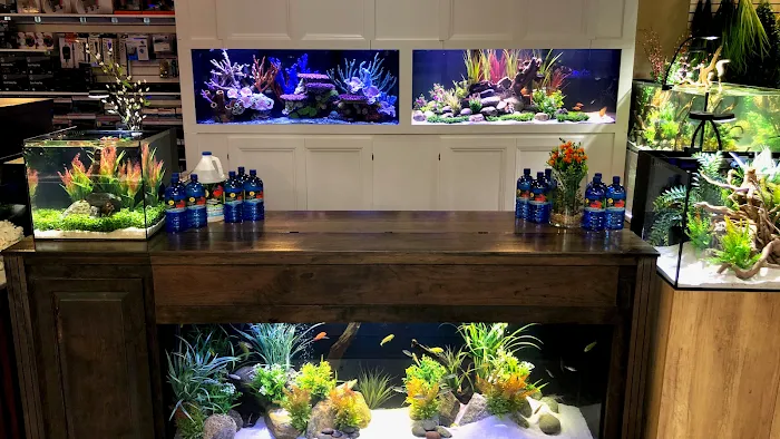 OSA Aquarium Superstore & Services -Coventry RI Picture 4