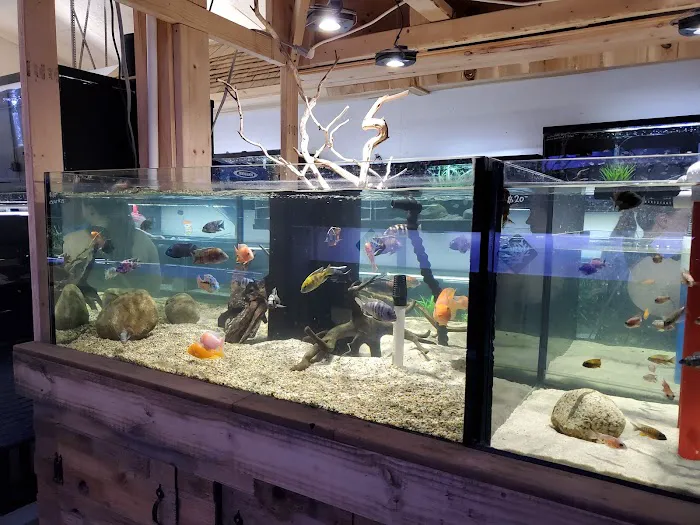 OSA Aquarium Superstore & Services -Coventry RI Picture 1