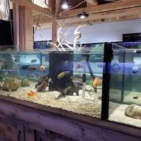 OSA Aquarium Superstore & Services -Coventry RI ico