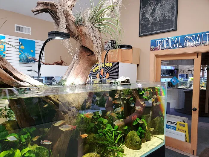 OSA Aquarium Superstore & Services -Coventry RI Picture 2