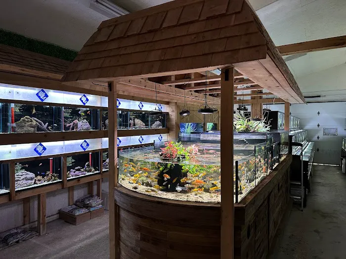 OSA Aquarium Superstore & Services -Coventry RI Picture 5