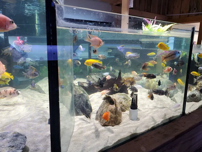 OSA Aquarium Superstore & Services -Coventry RI Picture 7