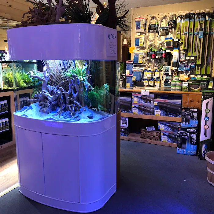 OSA Aquarium Superstore & Services -Coventry RI Picture 8