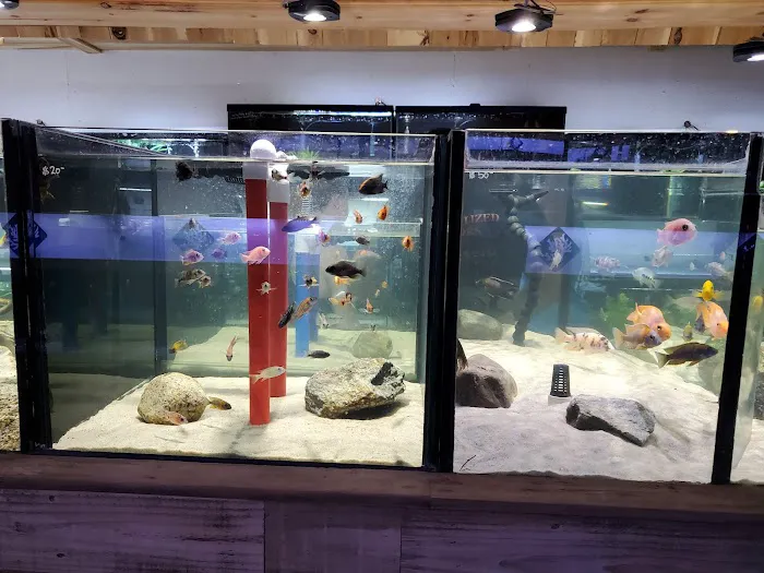 OSA Aquarium Superstore & Services -Coventry RI Picture 9