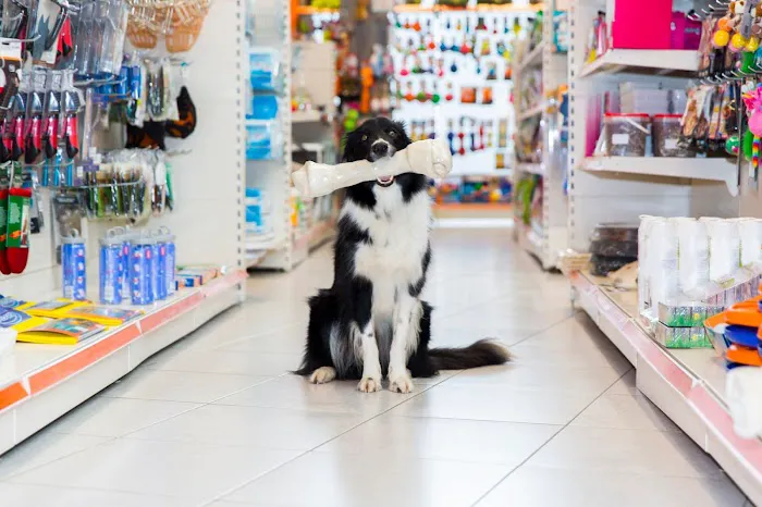 A’s Aquatics & Pet Store Picture 2