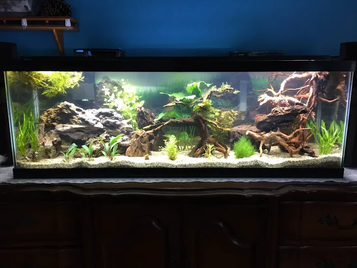A’s Aquatics & Pet Store Picture 8