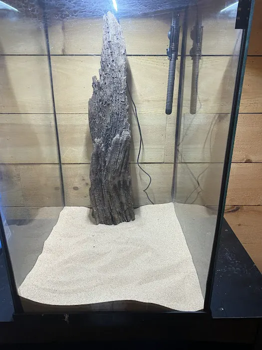 A’s Aquatics & Pet Store Picture 10