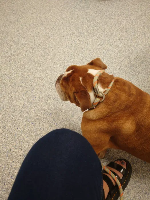 Wakefield Animal Hospital Picture 1