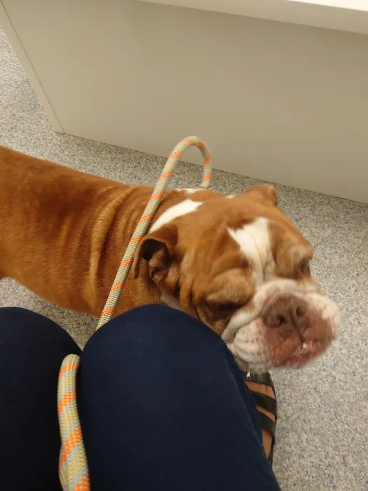 Wakefield Animal Hospital Picture 3