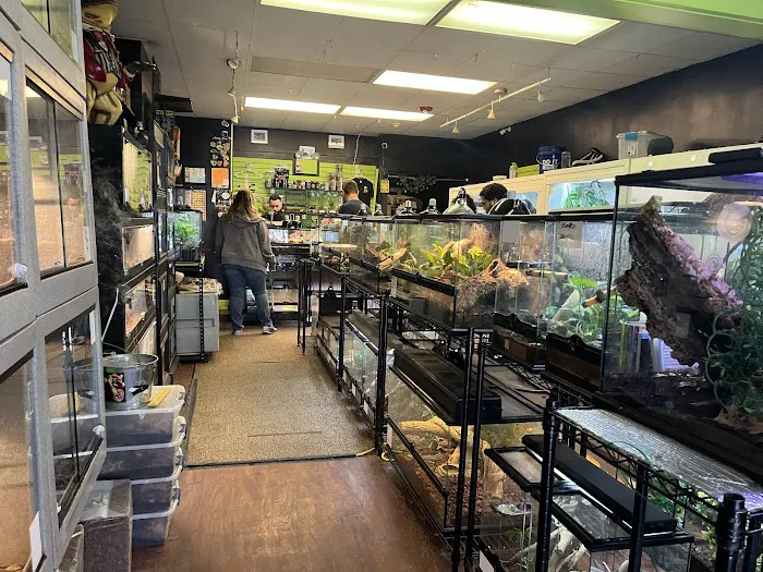 401 Reptiles Picture 1