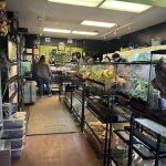 401 Reptiles