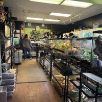 401 Reptiles ico
