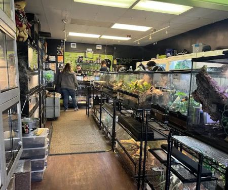 401 Reptiles