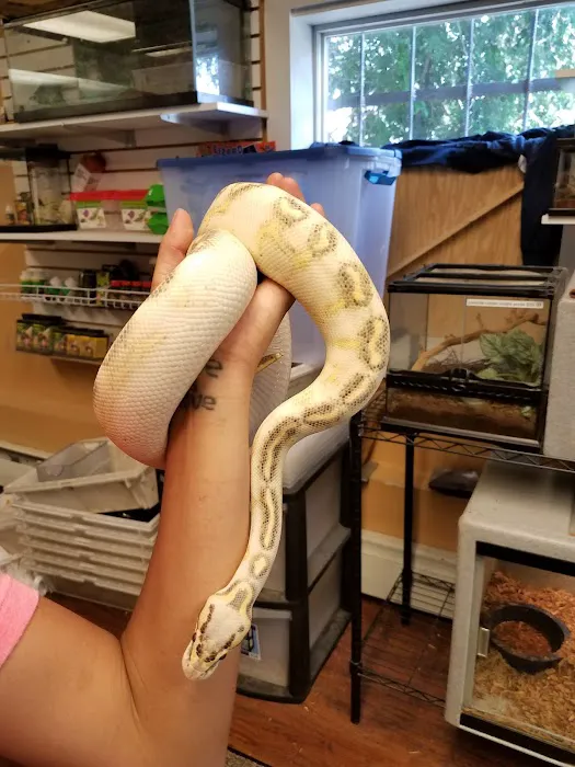 401 Reptiles Picture 3