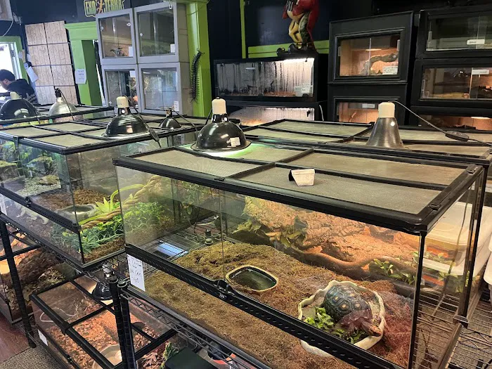 401 Reptiles Picture 7