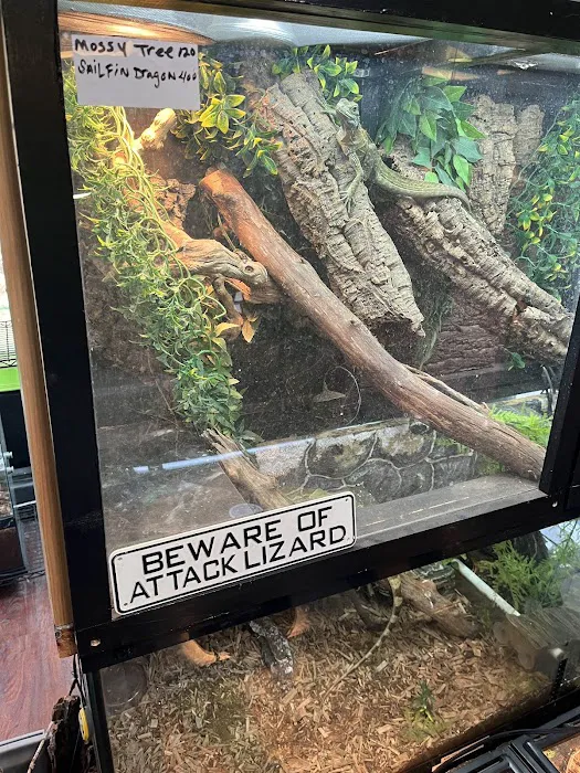 401 Reptiles Picture 4