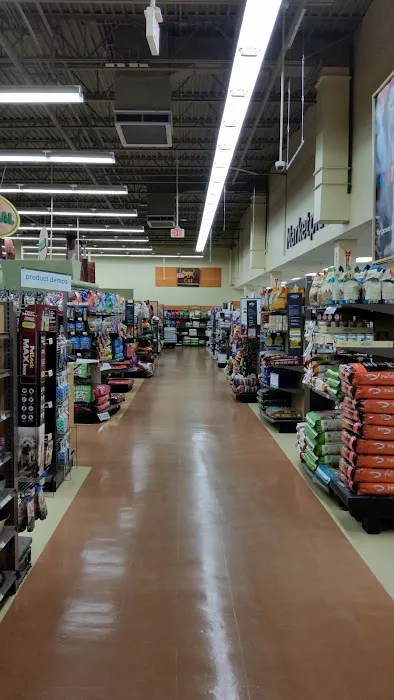 Petco Picture 3
