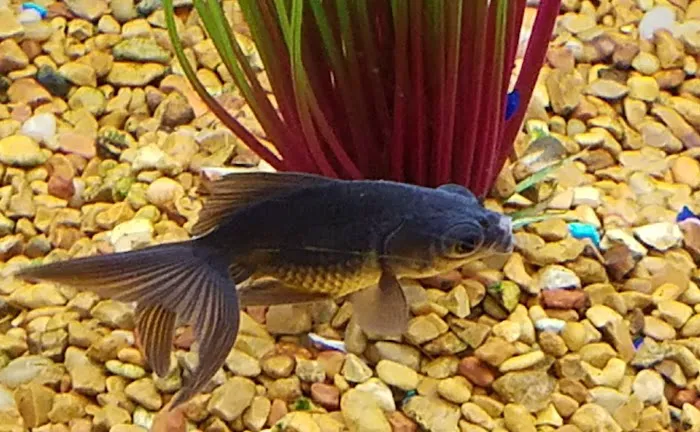Petco Picture 8