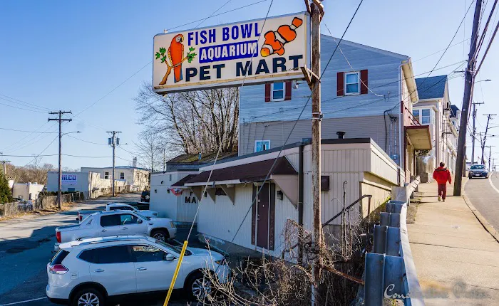 Fish Bowl Aquarium & Pet Mart Picture 1