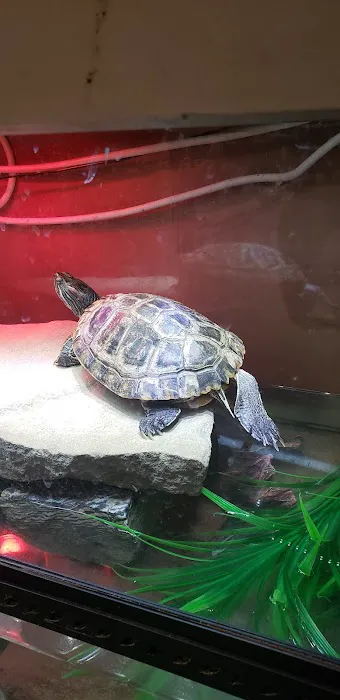 Fish Bowl Aquarium & Pet Mart Picture 4