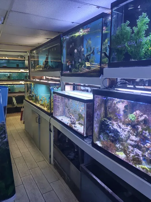Fish Bowl Aquarium & Pet Mart Picture 2