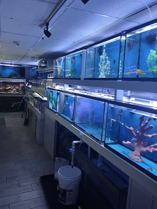 Fish Bowl Aquarium & Pet Mart Picture 6