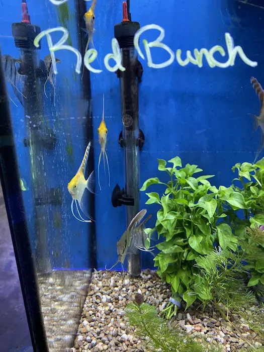Fish Bowl Aquarium & Pet Mart Picture 8