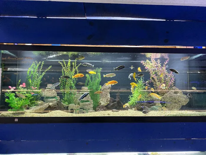 Fish Bowl Aquarium & Pet Mart Picture 7