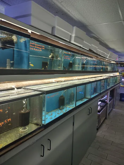 Fish Bowl Aquarium & Pet Mart Picture 9