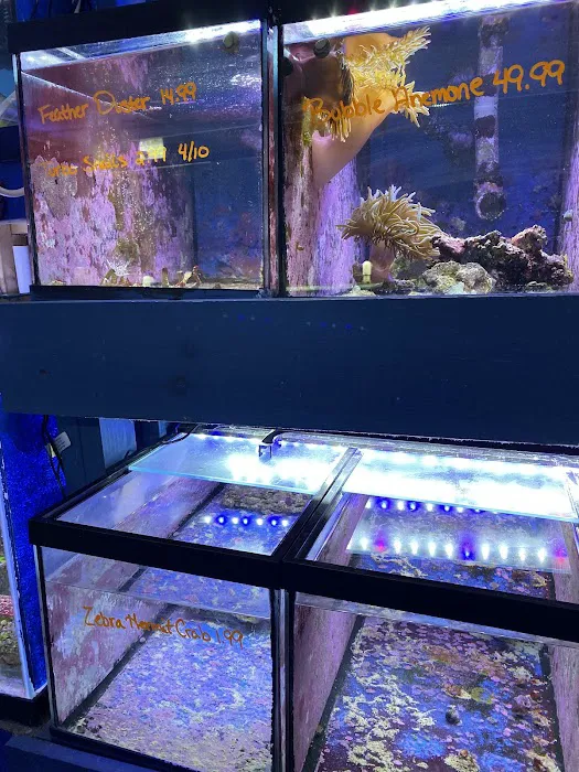Fish Bowl Aquarium & Pet Mart Picture 10
