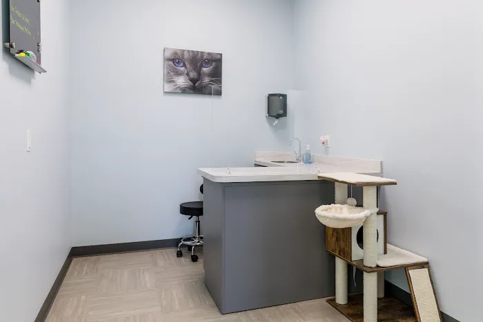 Willow Grace Veterinary Hospital Picture 5