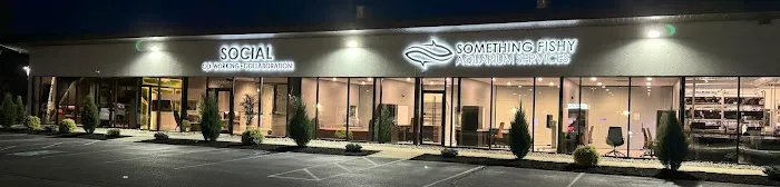 Something Fishy, Inc. Picture 1