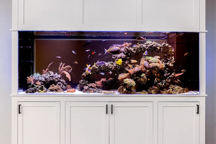 Something Fishy, Inc. Picture 2