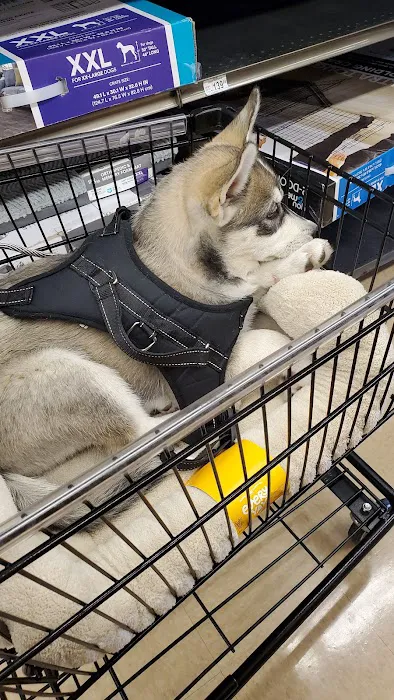 Petco Picture 4