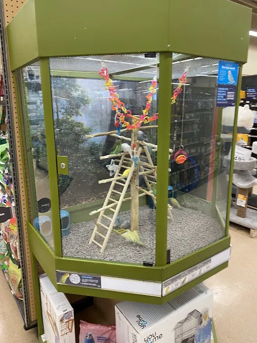 Petco Picture 5