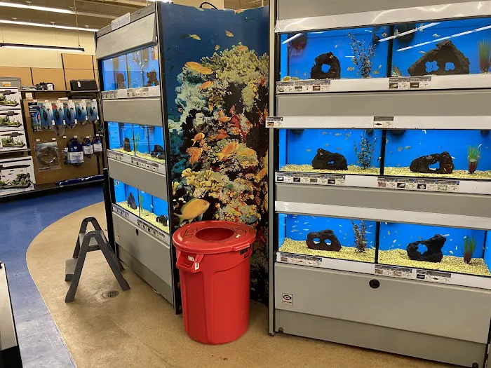Petco Picture 7