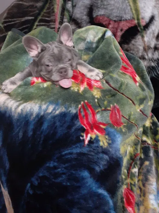 Petco Picture 8
