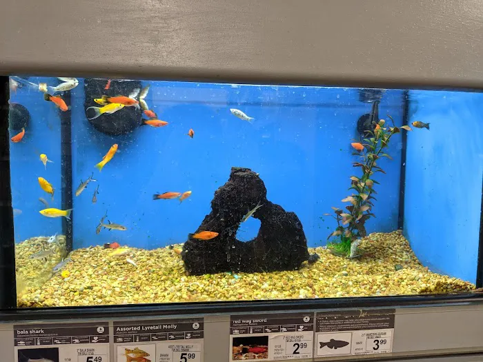 Petco Picture 10