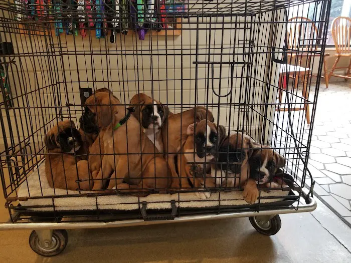 Conestoga Animal Hospital Inc. Picture 2
