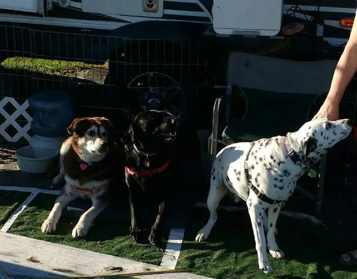 Conestoga Animal Hospital Inc. Picture 10