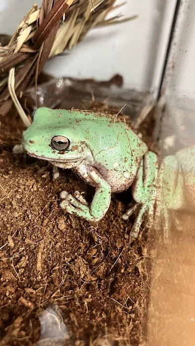 True Exotic Pets Picture 2