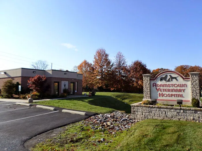 Adamstown Veterinary Hospital Picture 10