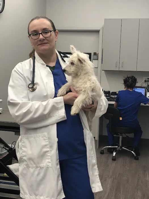 VIP Petcare Vaccination Clinic Picture 6