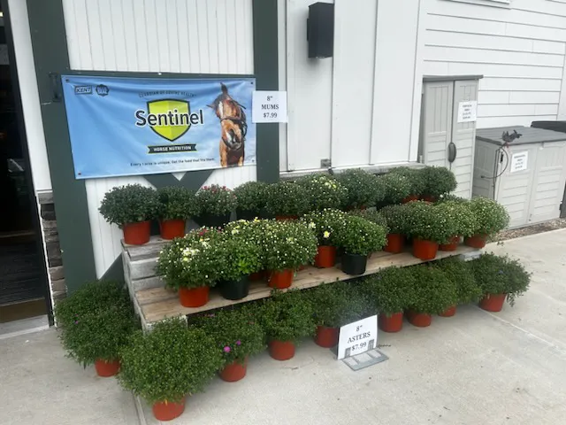 Malta Farm and Garden Picture 6