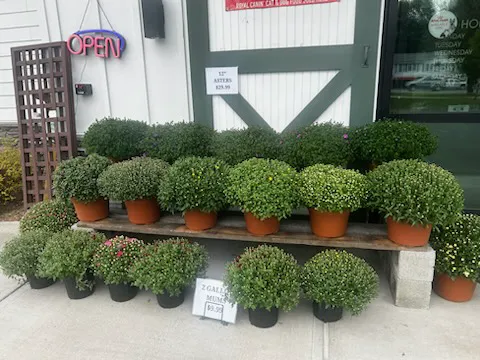 Malta Farm and Garden Picture 9