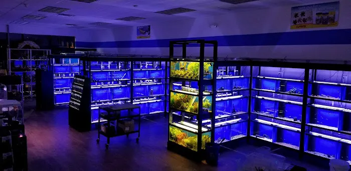 Buckley's Fish Room Picture 3