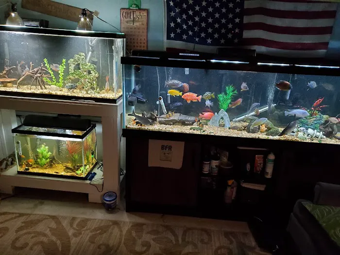 Buckley's Fish Room Picture 2